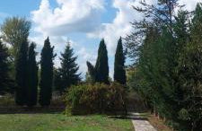 Chalet Stiga Kalavrita - Maisonettes - Foto 47