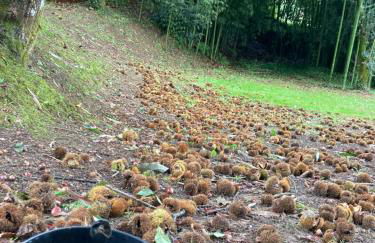 Casa da Assudra - Foto 56