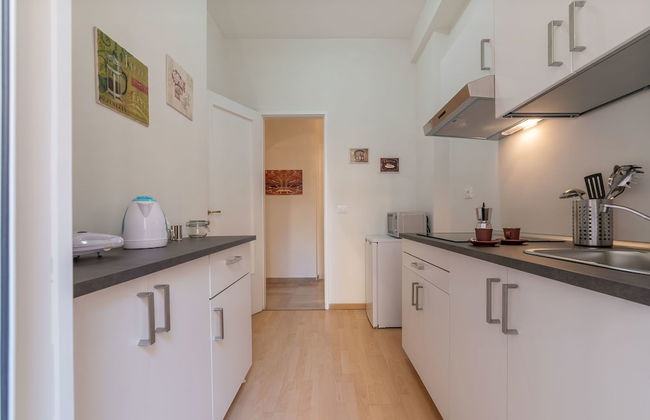 Casa della Musica - Photo 11