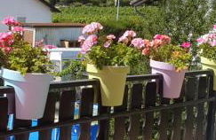 Ferienwohnung Weingut Leis - Foto 21