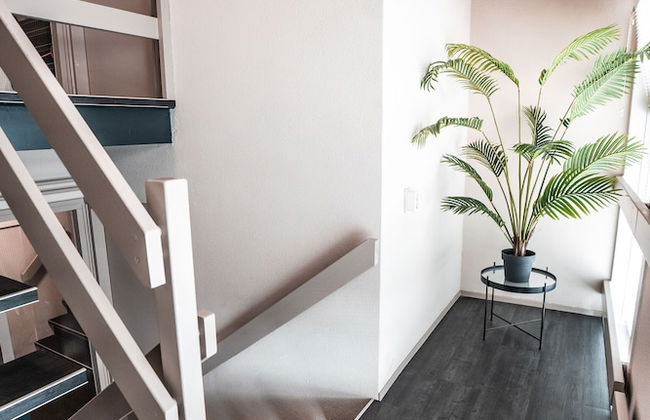 Hakuna Matata - Photo 2