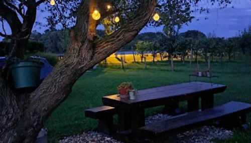 Kuća za odmor DRAVA LIFE - Foto 3, Garden view