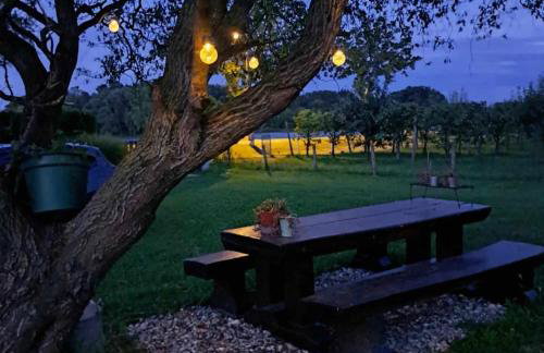 Kuća za odmor DRAVA LIFE - Foto 3