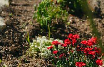 Βίλλα Φανούλα Villa Fanoula - Foto 54