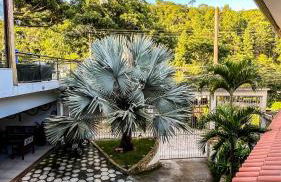 Pousada dos Sonhos - MP - Foto 75