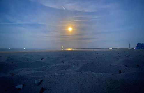 Ferienhaus Seemöwe - Foto 80