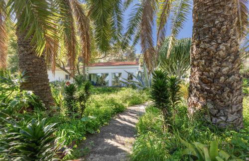 Finca El Dragonal With Private Pool - Foto 39