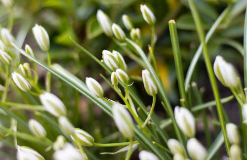 Exklusive Ferienwohnung Geisfeld - Foto 22