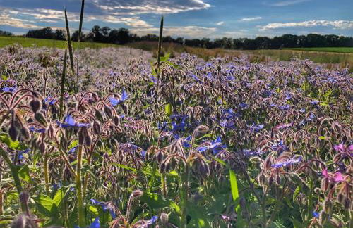 AlbLounge VIP Appartement - Foto 53