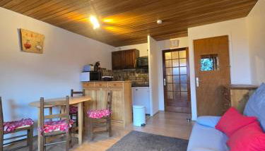 Les Brimbelles 27 studio au pied du télémix de Belle Étoile - Foto 4