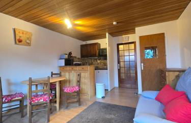 Les Brimbelles 27 studio au pied du télémix de Belle Étoile - Foto 4