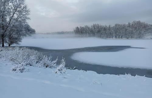 Krötenhof Barförde - Foto 65