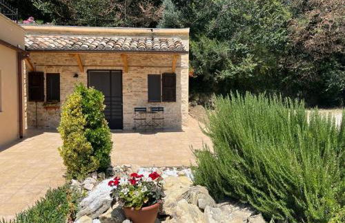 Vineyard Farmhouse in Massignano - Foto 13