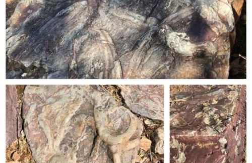 Casa Vinte & Cinco - Alojamento Local - Foto 83