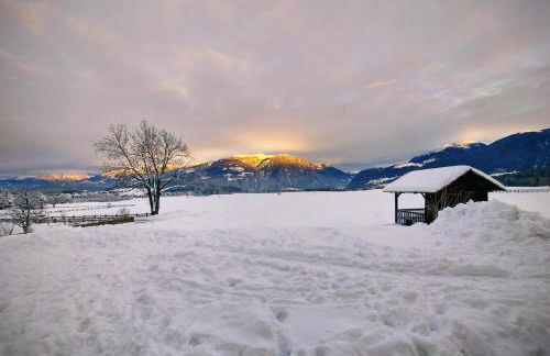 Krebslechnerhof - Foto 10