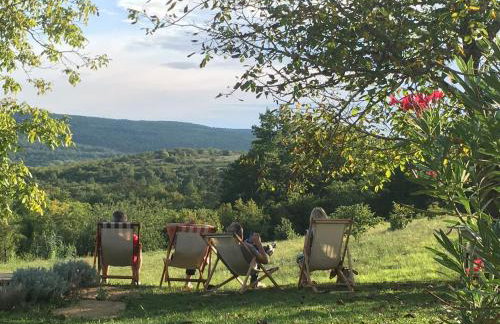 Bolara 60: the Cottage - Foto 17