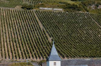 Moselhaus by Clüsserath-Wittmann - Foto 73