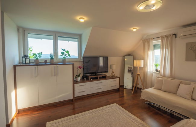 Vineyard cottage Jelenov hrib - Foto 3