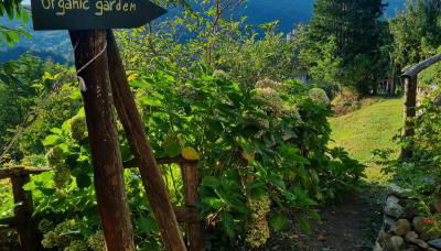 All ' ombra del lauro - Foto 2, Garden