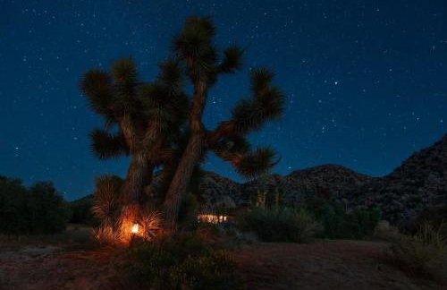 The Raven By The Cohost Company - Foto 50