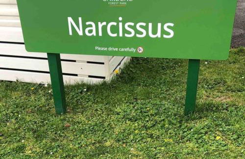 Pinto Holiday Home Oakdene Forest Park Passes Inc! - Foto 29