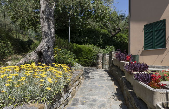 Verde Adagio - Foto 17