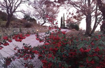 Agriturismo Valiana - Foto 39