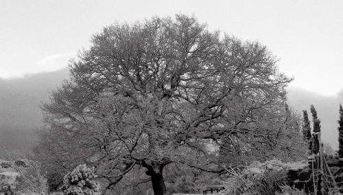 Poggio Del Castagno - Foto 5