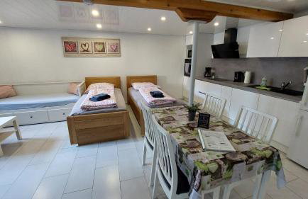 Ferienwohnung/Monteurzimmer auf dem Bauernhof - Foto 4