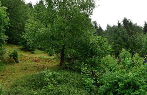 Ferienwohnung in der Nähe von Willingen - Foto 51