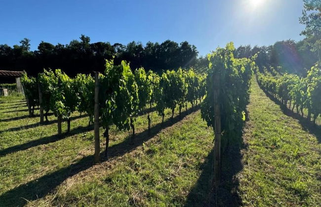 Holiday Home Tuscany With Pool Access - Foto 38