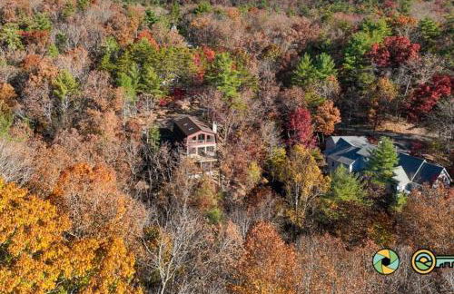 The Swirling Bird - Foto 16