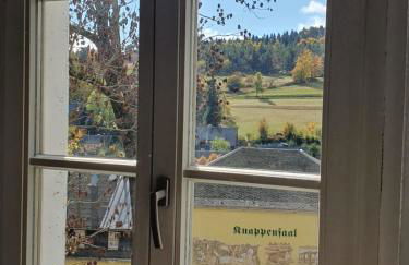 Zentral gelegene Wohnung - Foto 15