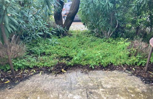 Saint laurent de la cabrerisse Rivière proche Lagrasse - Foto 7