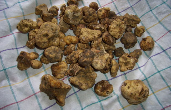 House With Pool, Garden and Wifi in Medieval Village, With Panoramic Views - Foto 14