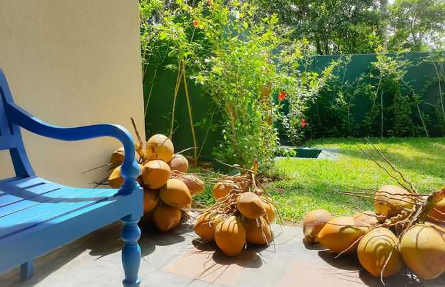 The Mugatiya - Foto 35