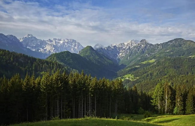 Shepperd Miha's House Private Ski Area - Foto 9