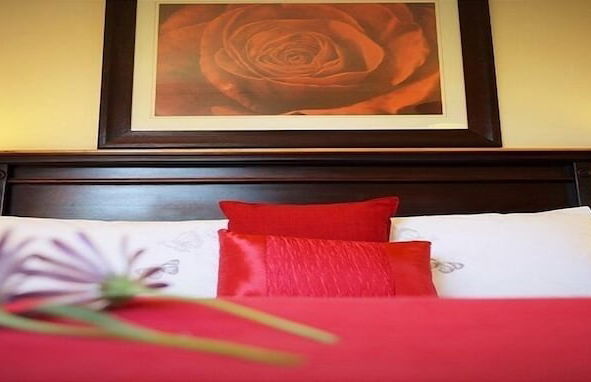 Forest Edge - Foto 12