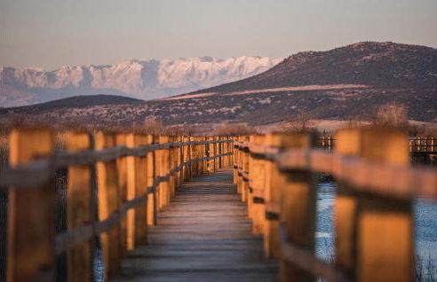 Pet Friendly Apartment In Benkovac - Foto 21