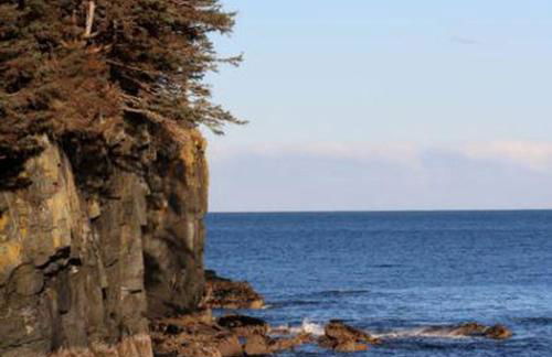 Coastal Camping Cabin with Wood-Burning Stove on Whale Island, Alaska - Foto 15