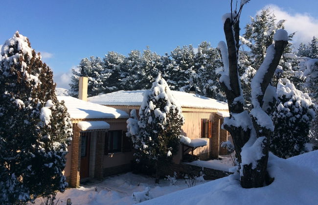 Finday Eco Boutique Hotel - Foto 2