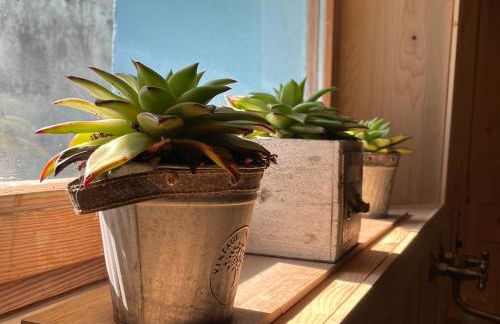 Gîte Aux P'tits Cœurs d'Alsace - Foto 30