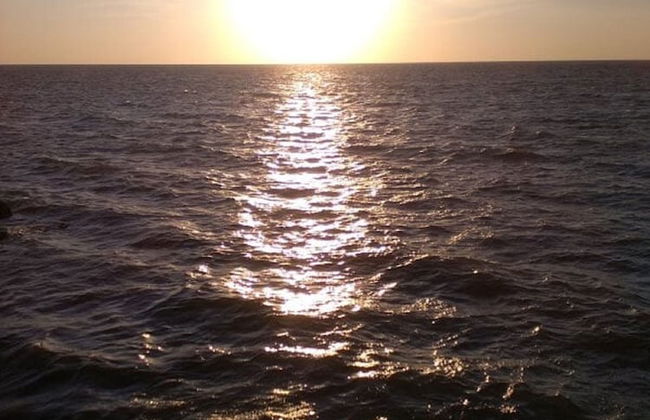 Kaeli's Caribbean Studios - Photo 67