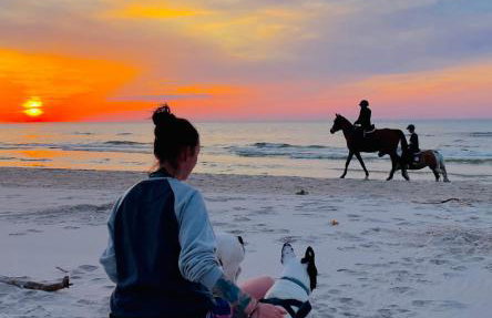 Nadmorska Ostoja Lubiatowo - Foto 25