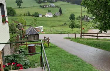 Schwarzwaldblick - Foto 1