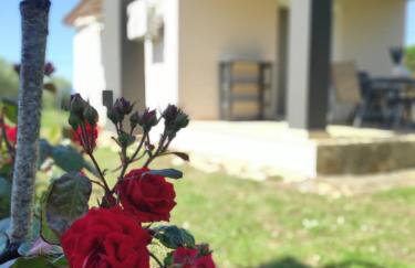 Harmony Luxury House - Photo 6
