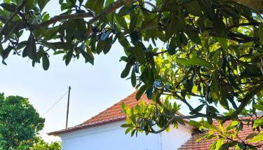 Casa do Camondo - Foto 4