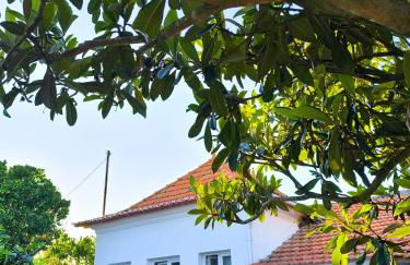 Casa do Camondo - Foto 4