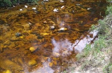 Casinha Fulô do Bongue - 6 km from Serra dos Alves - Photo 6