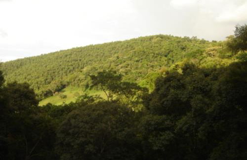 Chácara do Nari - Casa com Piscina em Condomínio Fechado - Photo 45